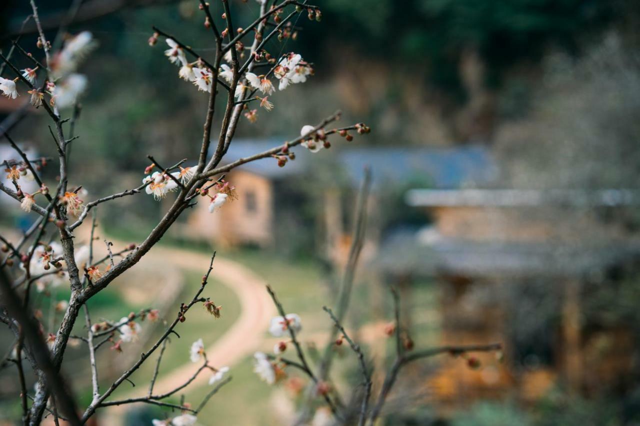 House By Lake Moc Chau Luaran gambar